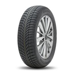 Roadstone Winguard SnowG WH2 175/65R14 86T  XL